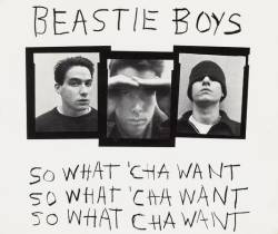 Beastie Boys : So What'cha Want